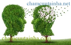 Alzheimer Can Benh Co The Phong Tranh Duoc1468418224