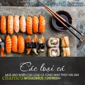 Mùa mưa bão tránh ngay các thực phẩm này kẻo đau bụng - Ảnh 1.