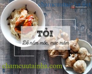 Bất ngờ với những thực phẩm bỏ ở ngoài sẽ tốt hơn để trong tủ lạnh - Ảnh 1.