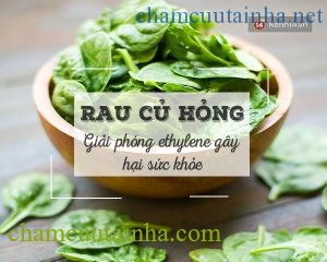 Bất ngờ với những thực phẩm bỏ ở ngoài sẽ tốt hơn để trong tủ lạnh - Ảnh 3.