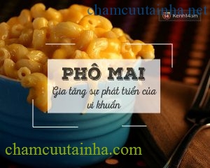 Bất ngờ với những thực phẩm bỏ ở ngoài sẽ tốt hơn để trong tủ lạnh - Ảnh 6.