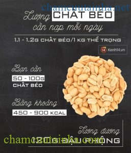 Đây chính là lượng cơm, rau, thịt bạn cần ăn mỗi ngày - Ảnh 4.