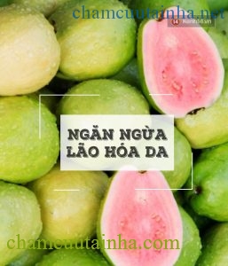 Cách detox dễ không tưởng: Chỉ cần 1 quả ổi/ngày - Ảnh 3.