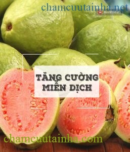 Cách detox dễ không tưởng: Chỉ cần 1 quả ổi/ngày - Ảnh 7.