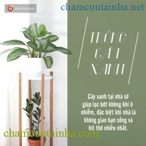 Phải làm gì để bảo vệ sức khỏe khi sương mù quang hóa dày đặc cả thành phố? - Ảnh 4.