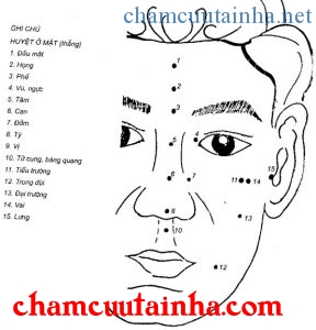 Các huyệt ở mặt (thẳng)