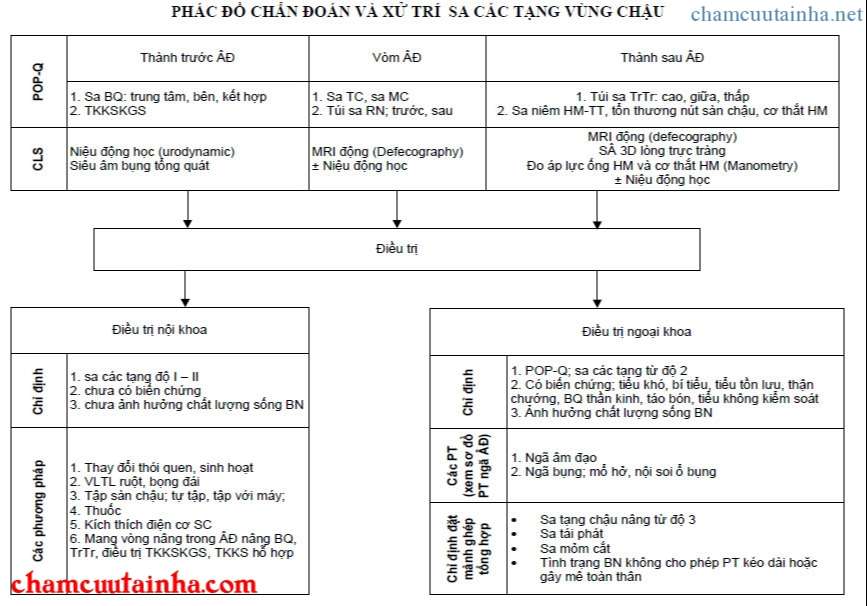 PHÁC ĐỒ CHẨN ĐOÁN VÀ XỬ TRÍ SA CÁC TẠNG VÙNG CHẬU