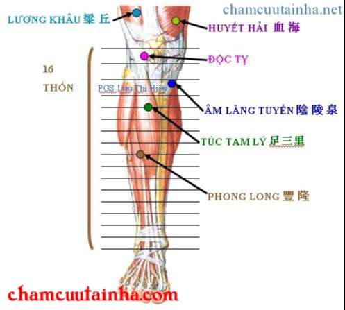 cách xác định chính xác huyệt vùng chân