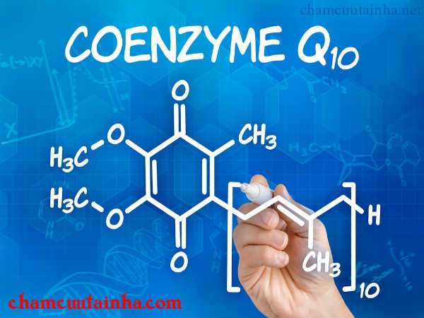 Coenzyme Q10