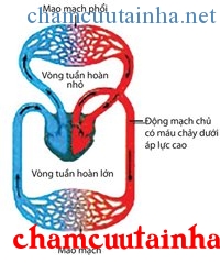 Xông hơi có lợi ích gì?