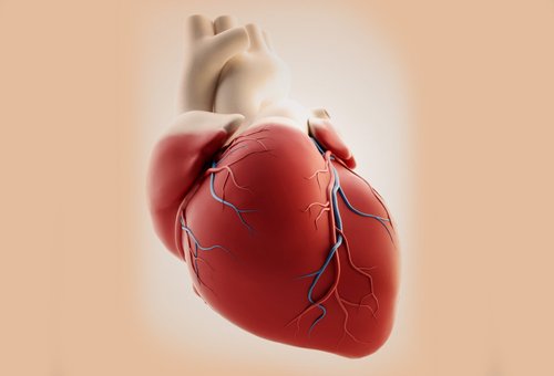 Những triệu chứng cảnh báo nhồi máu cơ tim